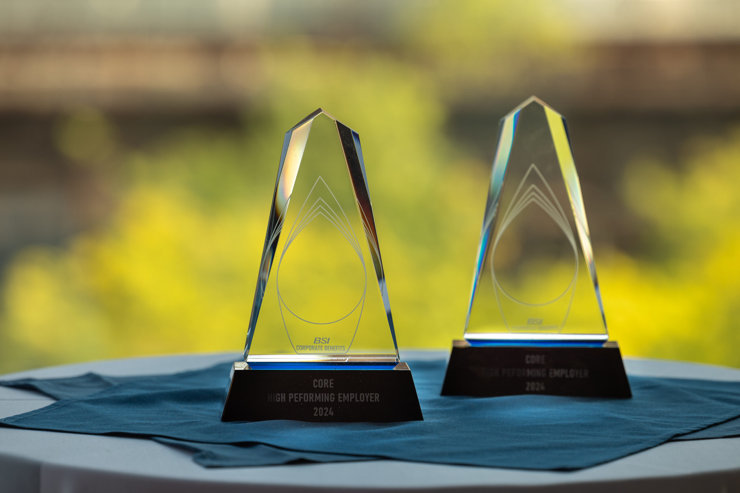 BSI Corporate Benefits 1st Annual Peak Performance Awards